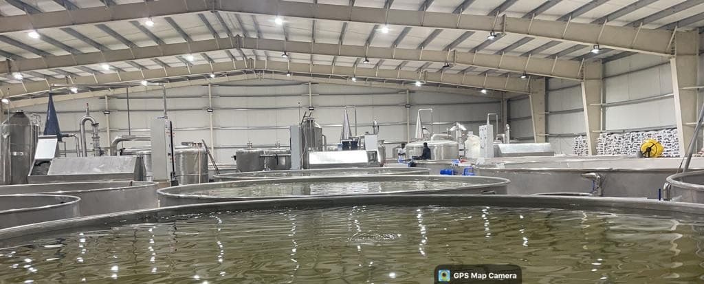 Hatchery Farming with RAS Technology - Smart Green Aquaculture process illustration